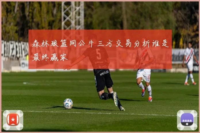 森林狼篮网公牛三方交易分析谁是最终赢家